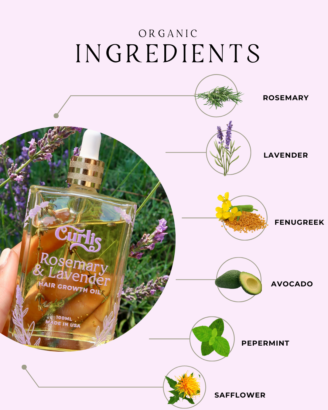 Premium Rosemary & Lavender Hair Growth Oil | Stimulates Growth & Thickness